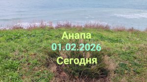 Анапа 01.02.2026 Сегодня