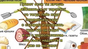 Как избавиться от Тараканов В доме?🪣