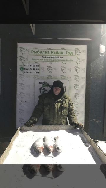 уловы рыбаков в Рыбин Гуде уловы рыбаков в Рыбин Гуде