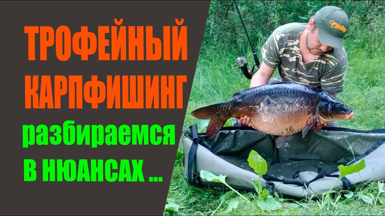 Трофейный карпфишинг. Разбираемся в нюансах. смотреть онлайн
