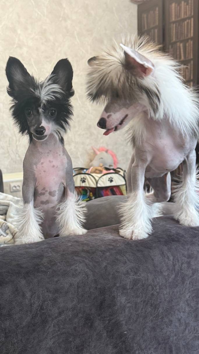 Наша Дашенька со своей подружкой Асей. У Дашеньки все хорошо. Благодарим, Анна