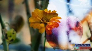 Анна Ахматова - Синий вечер (клип)