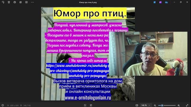 Юмор про птиц 9. смотреть онлайн