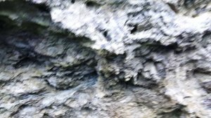 отдых в Крыму