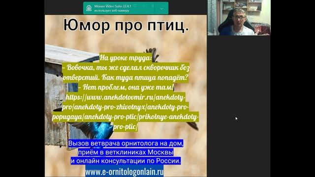 Юмор про птиц. Выпуск №1 смотреть онлайн