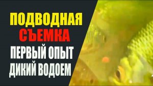 Подводная съемка. Первый опыт на диком водоеме.