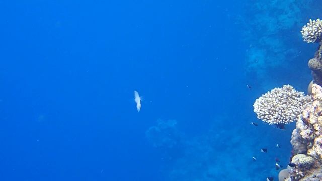 PC050671-1 смотреть онлайн