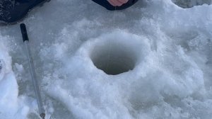 Поимка форели