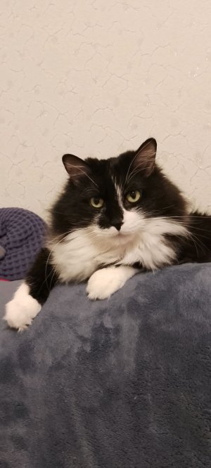 Яндекс игрыыыыыы