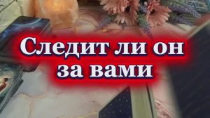 Следит ли он за тобой 🔮🙋♂️🕵🏻Таро