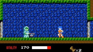 Dragon Buster (1984) [MSX]