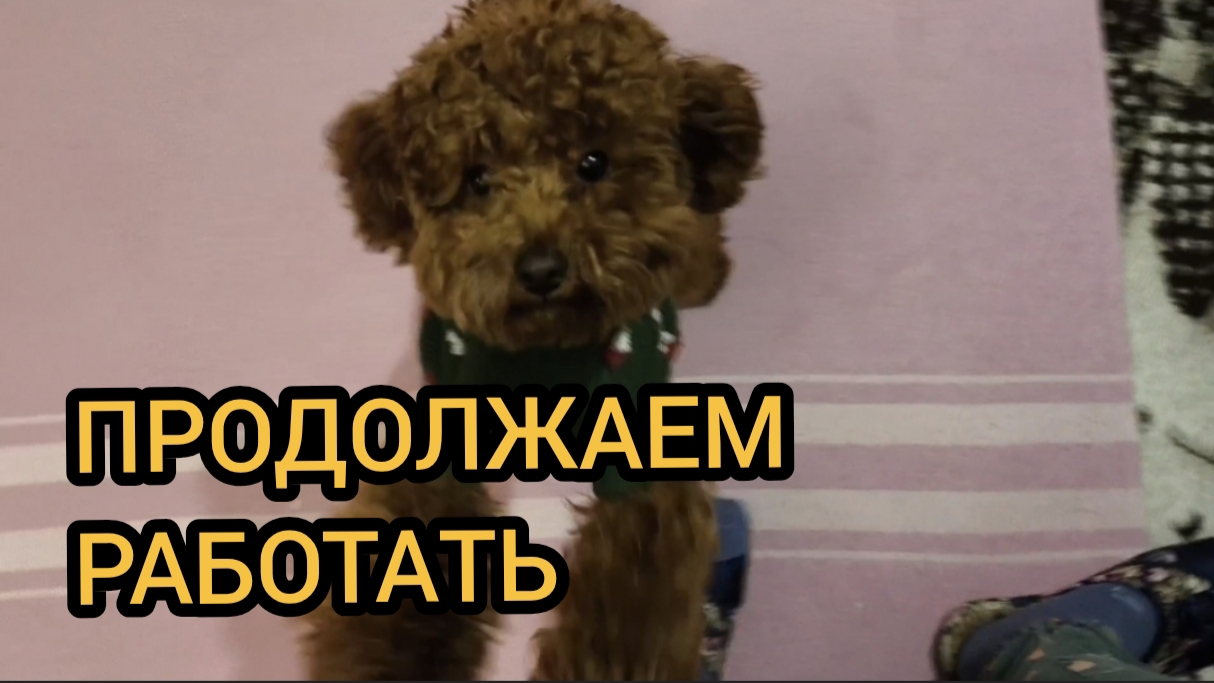 Продолжаем работать 31.01-01.02.2026 смотреть онлайн