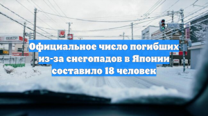 Официальное число погибших из-за снегопадов в Японии составило 18 человек