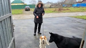 ✨Сделал дело — гуляй смело✨Подарок от крёстных✨Покупки✨Распаковка✨