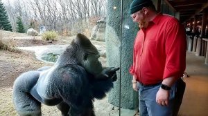 Самые смешные животные в интернете 😂 НОВЫЕ смешные видео с животными 2026 года!