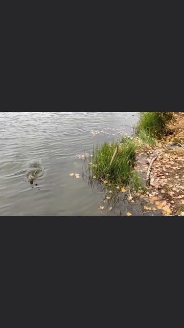 🔥Рыбацкий Трэш💪