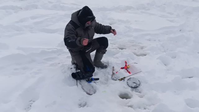 5724.mp4 смотреть онлайн