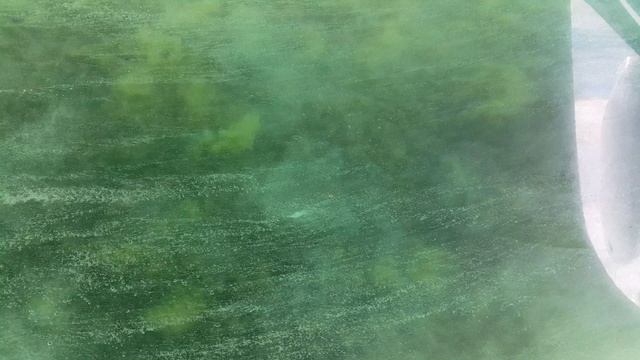 отдых в Крыму отдых в Крыму