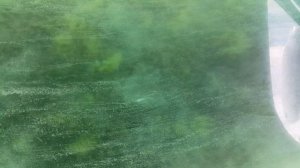 отдых в Крыму