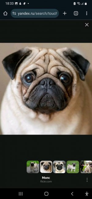 первая трансляция