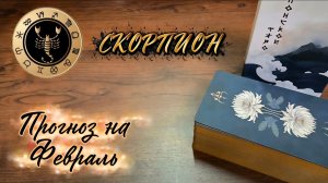 СКОРПИОНЫ.  Экспресс-прогноз на Февраль 2026