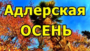 БАРХАТНЫЙ НОЯБРЬ В АДЛЕРЕ 2025. ПАРК ЮЖНЫЕ КУЛЬТУРЫ: ОСЕННИЕ ФОТОСЕССИИ, КРАТКАЯ ИСТОРИЯ ПАРКА.