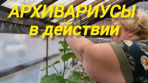 Аналитический обзор от 1 февраля. Архив. Родня всех калибров.