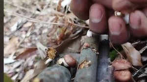 27серия/Жизнь в горной деревне Непала | в непальской бедной, но счастливой семье