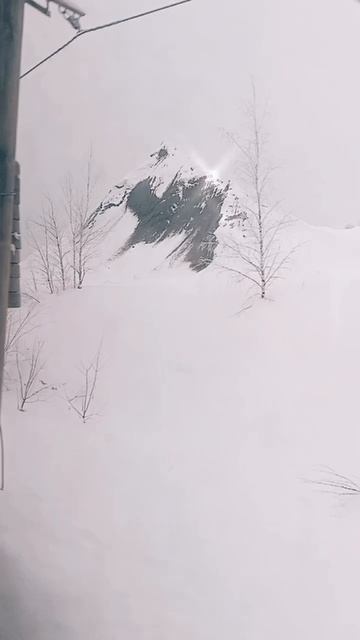 2026-01-29-105347713