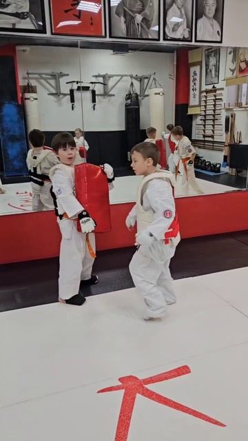 Сенсей - Чебан Артур Георгиевич, 3 дан. смотреть онлайн