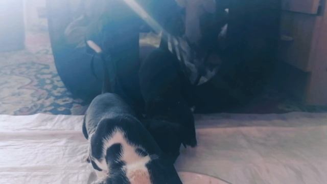 Кушаем смотреть онлайн