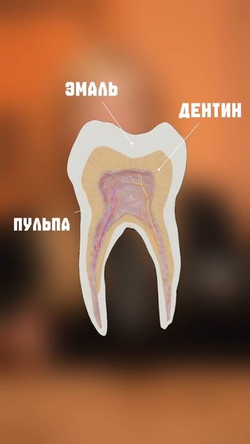 КАК ИЗБЕЖАТЬ КАРИЕСА?