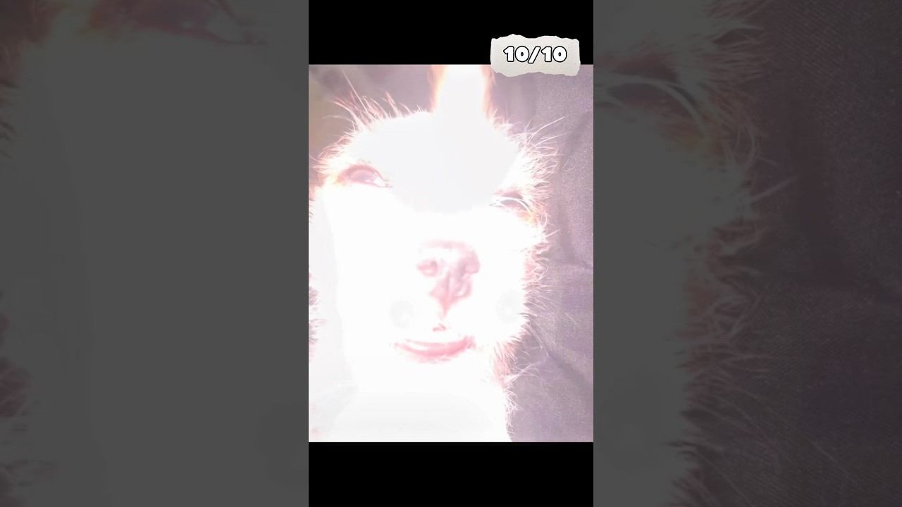 Radmiru comedy! Big remix #shorts смотреть онлайн