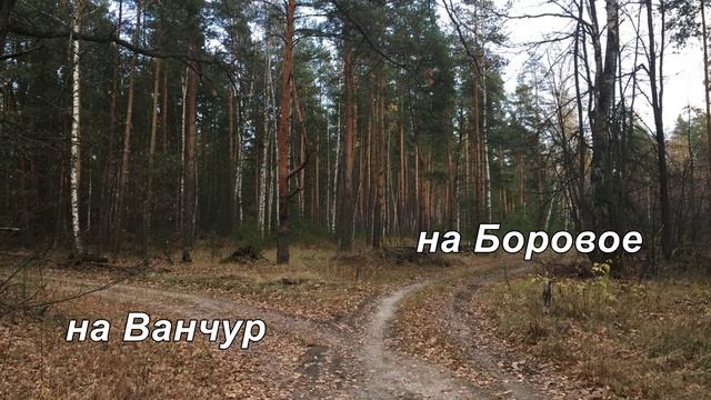 Октябрь в селе Берёзово Шиловский р-н Ряз.обл. 2020г. смотреть онлайн