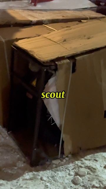 Димон мотики на сборку привез смотреть онлайн