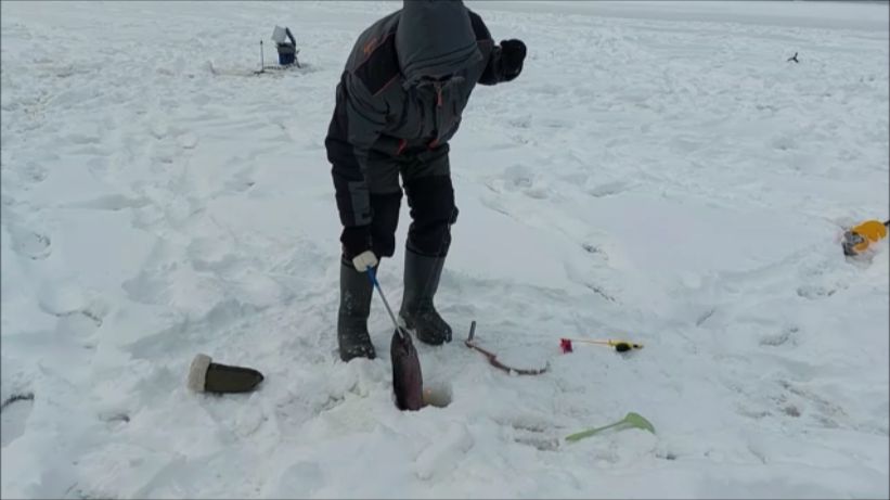 Поимки и холостые поклёвки форели. Клёвое место, Лосиный остров, верхний водоём. смотреть онлайн