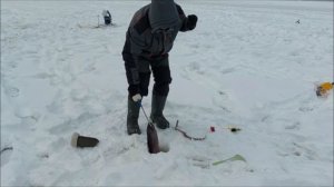 Поимки и холостые поклёвки форели. Клёвое место, Лосиный остров, верхний водоём.