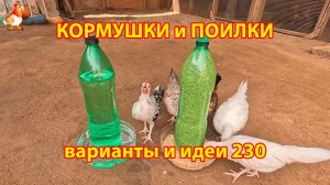 Кормушки и поилки для кур своими руками 230 🪚✂️ Пошаговая инструкция как сделать 🐔 🐓❣️