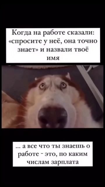 #работа #смех #юмор #жиза #прикол #ржака