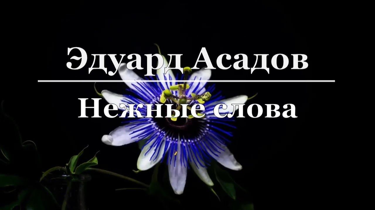 Говорите люди стихи Эдуарда Асадова