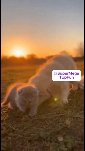 Малыши играют