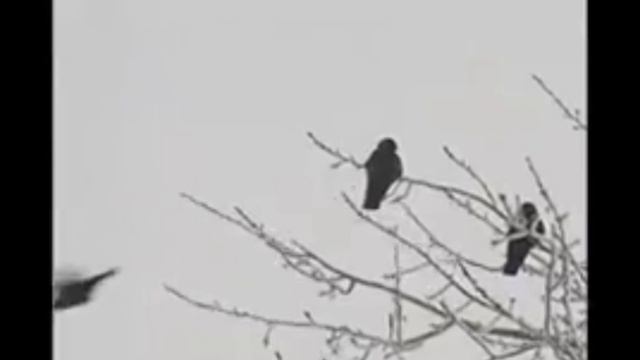 Мы разные но вместе