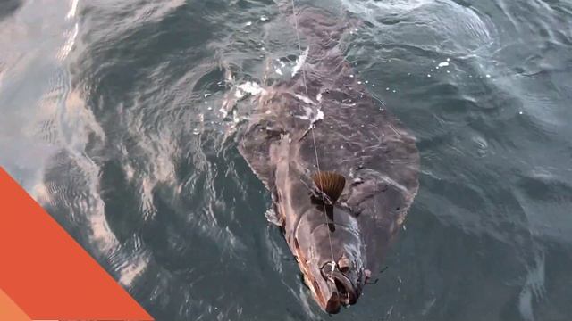 Рыбалка в Норвегии, база Big Fish Adventure. Рекламный ролик.