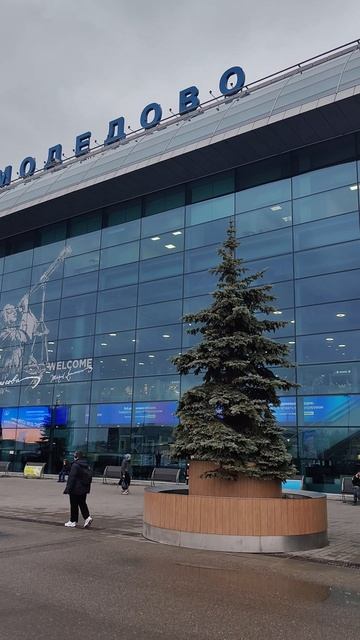 Из Сибири на Юга