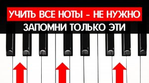 КАК ЧИТАТЬ НОТЫ с НУЛЯ? Самый простой способ!