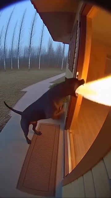 АААААААААА