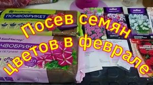 Рассада подрастает🌸. Посеяла новые цветочки. Продолжаю заполнять свой стеллаж.