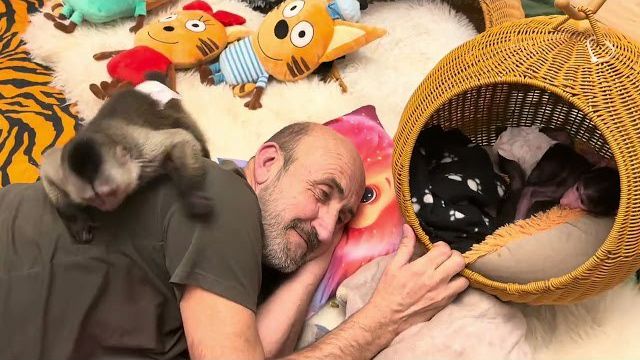 Финик хулиганит, Николь к нему всей душой, а он отбирает ее игрушки и выгоняет из домика❤️ смотреть онлайн