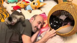 Финик хулиганит, Николь к нему всей душой, а он отбирает ее игрушки и выгоняет из домика❤️