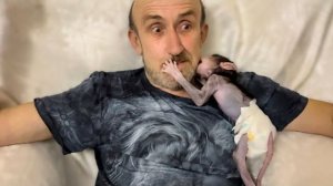 Тихий вечер перестает быть тихим,  конда по тебе СКАЧЕТ Степка!